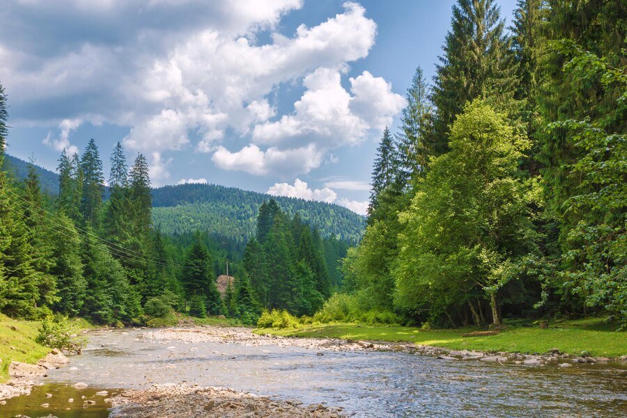 mountain-river-forest-background-mountains-summer-landscape_556258-2900